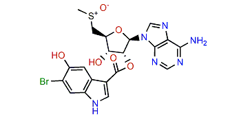 epi-Momusine B